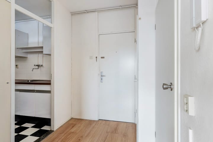 Foto 3 van Nassauplantsoen 47