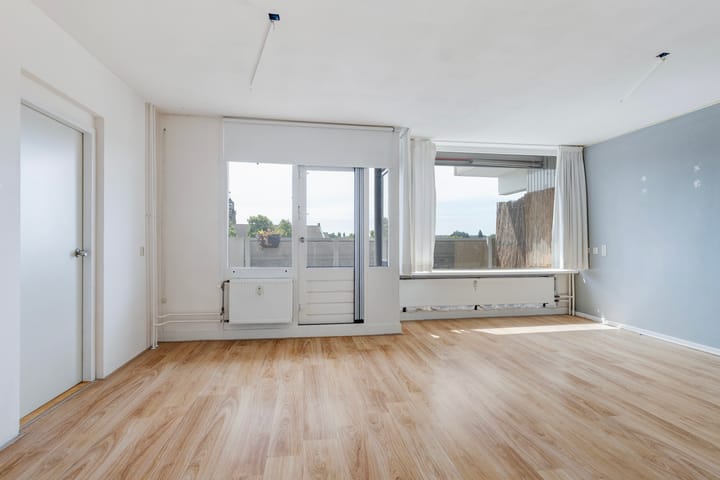 Foto 4 van Nassauplantsoen 47