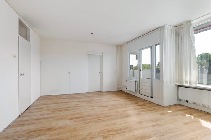 Foto 6 van Nassauplantsoen 47