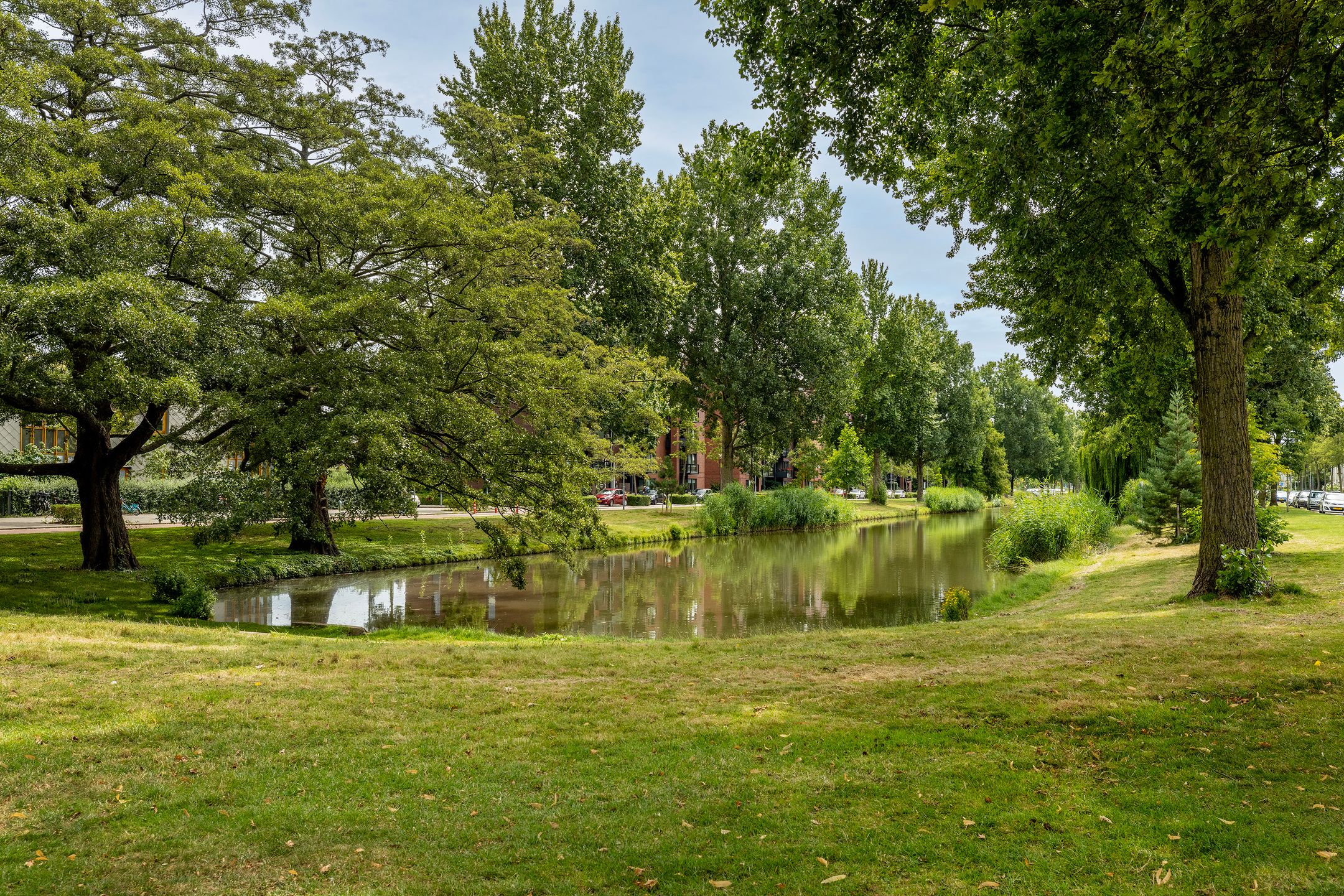 Photo 24 of Nassauplantsoen 47