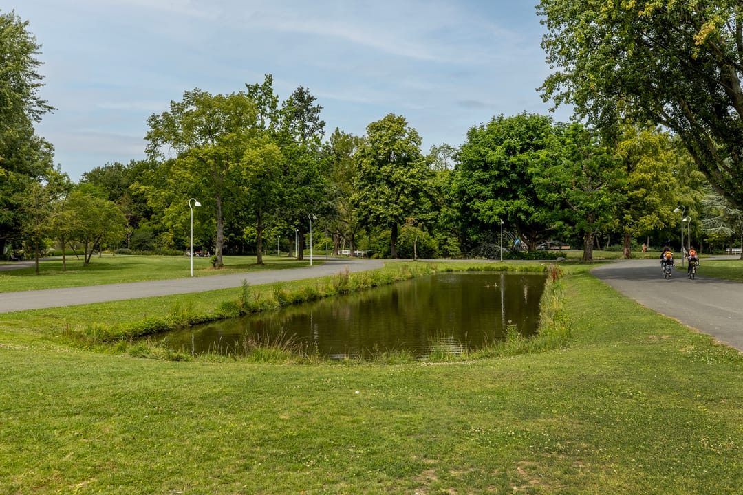 Photo 28 of Nassauplantsoen 47