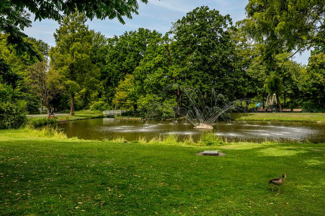 Photo 31 of Nassauplantsoen 47