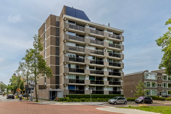 Foto 34 van Nassauplantsoen 47