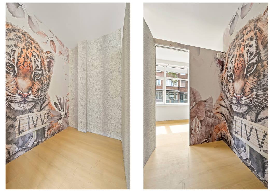 Foto 17 van Elise van Calcarstraat 49