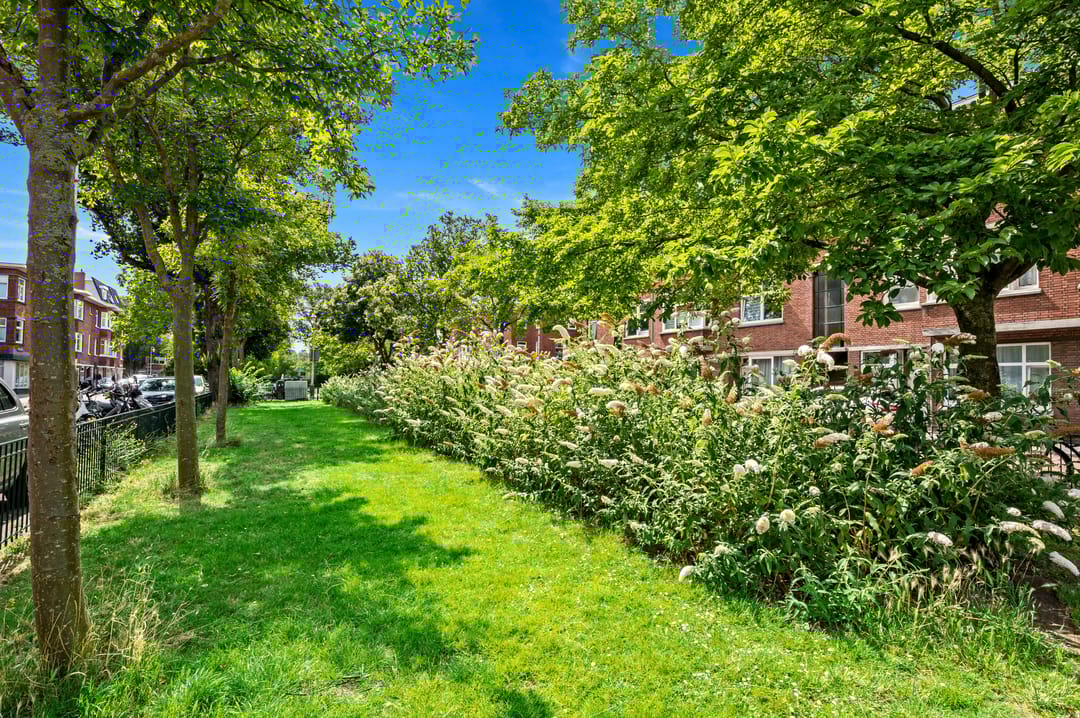 Foto 32 van Elise van Calcarstraat 49