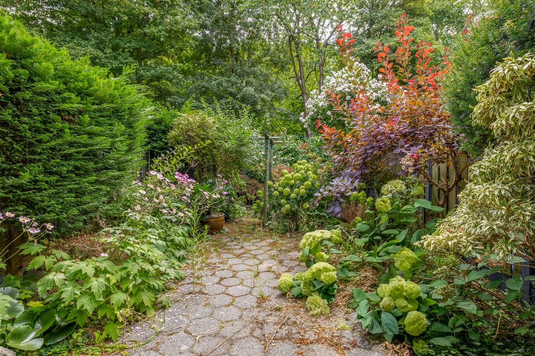 Foto 16 van Kaneelhof 32