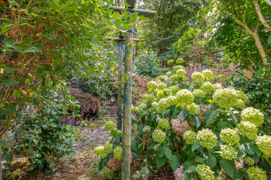 Foto 17 van Kaneelhof 32