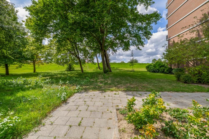 Foto 40 van Kaneelhof 32