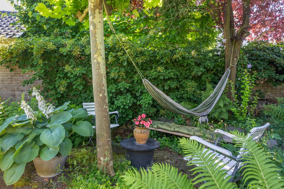 Foto 32 van Loseweg 29