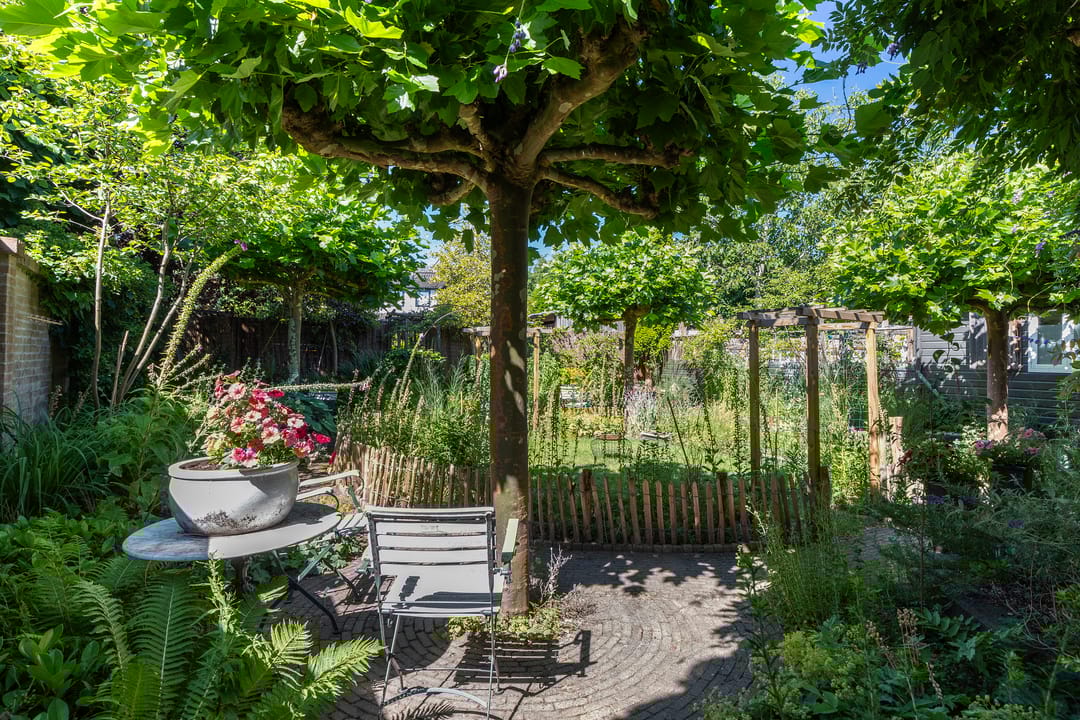 Foto 37 van Loseweg 29