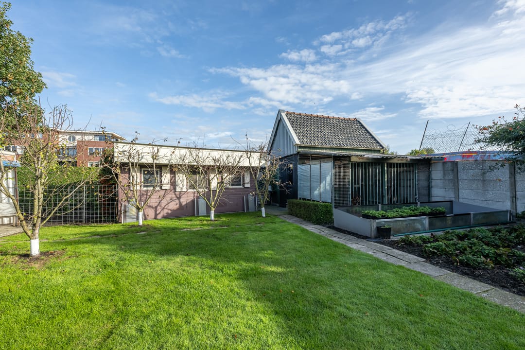 Photo 38 of Zandpad 4