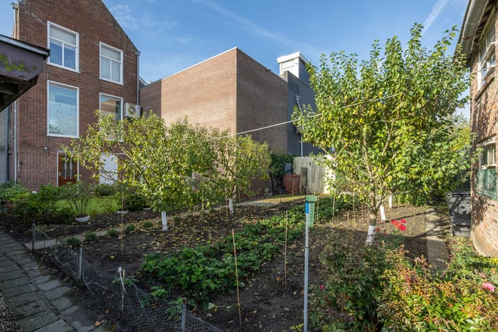 Foto 41 van Zandpad 4