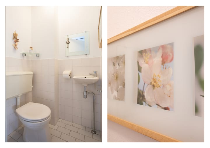 Foto 7 van Schoorsteen 12