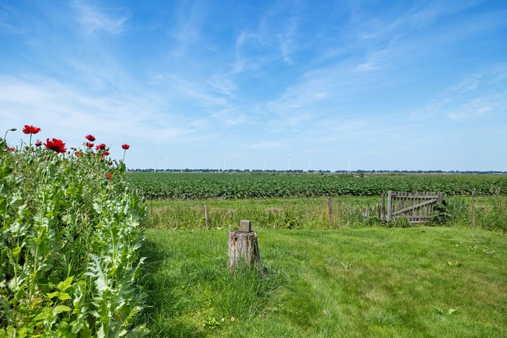 Photo 36 of Zuiderdiep 333