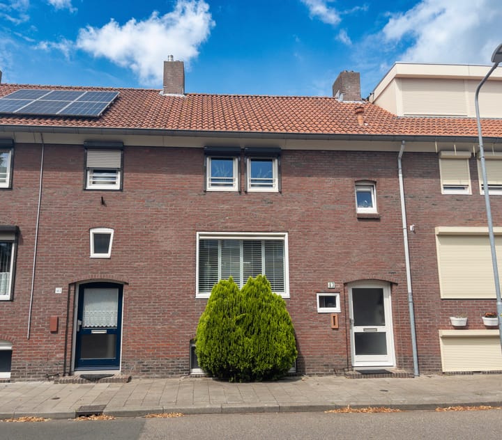 Papegaaistraat 43