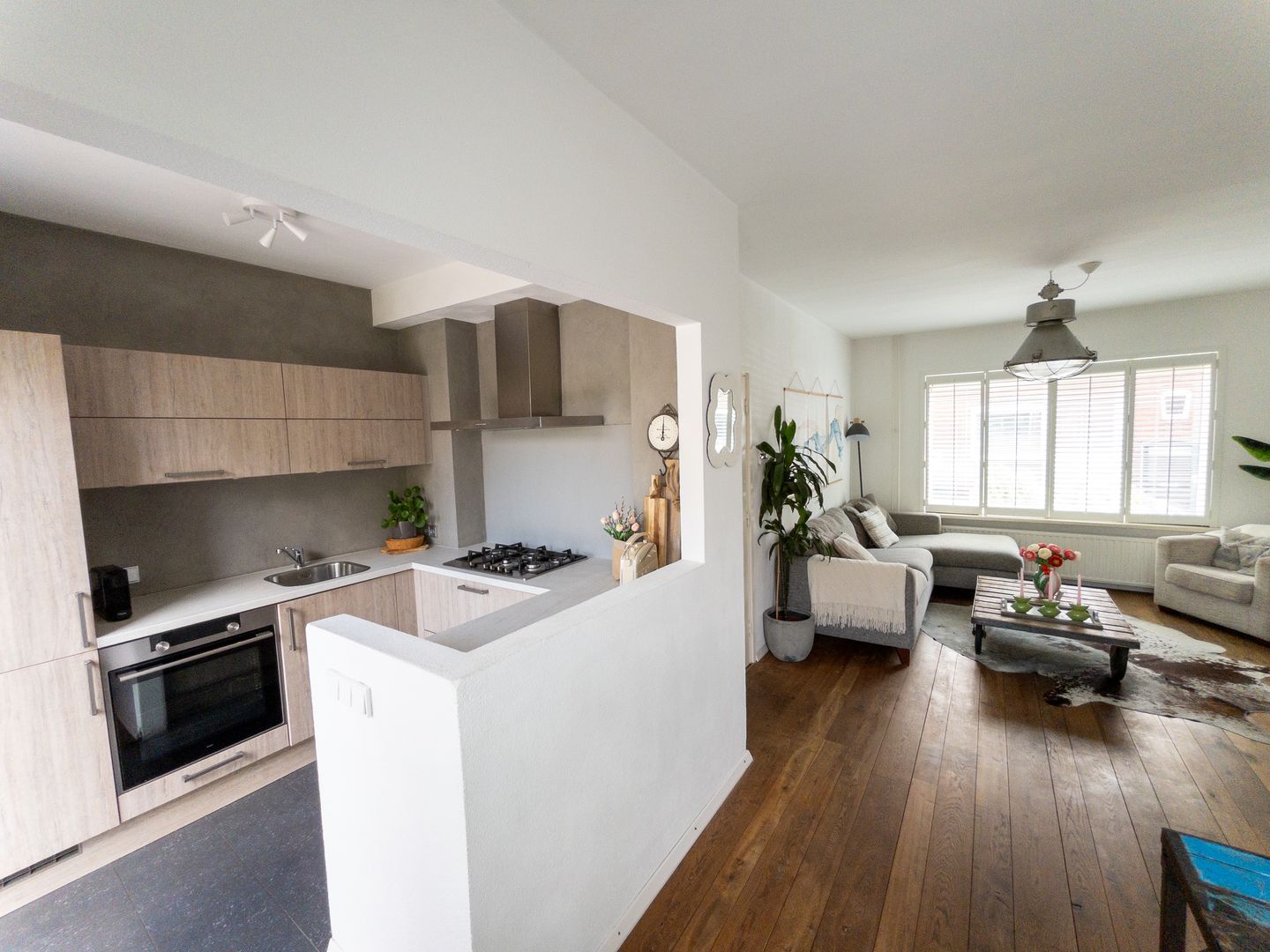 Foto 5 van Papegaaistraat 43