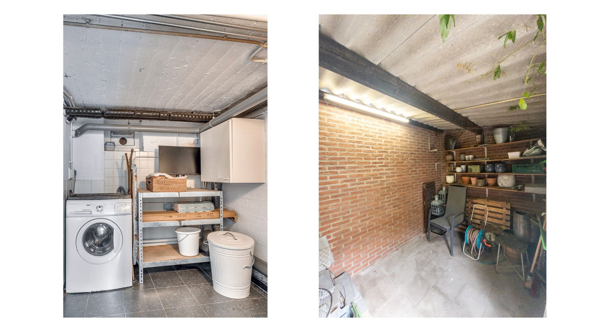 Foto 21 van Papegaaistraat 43