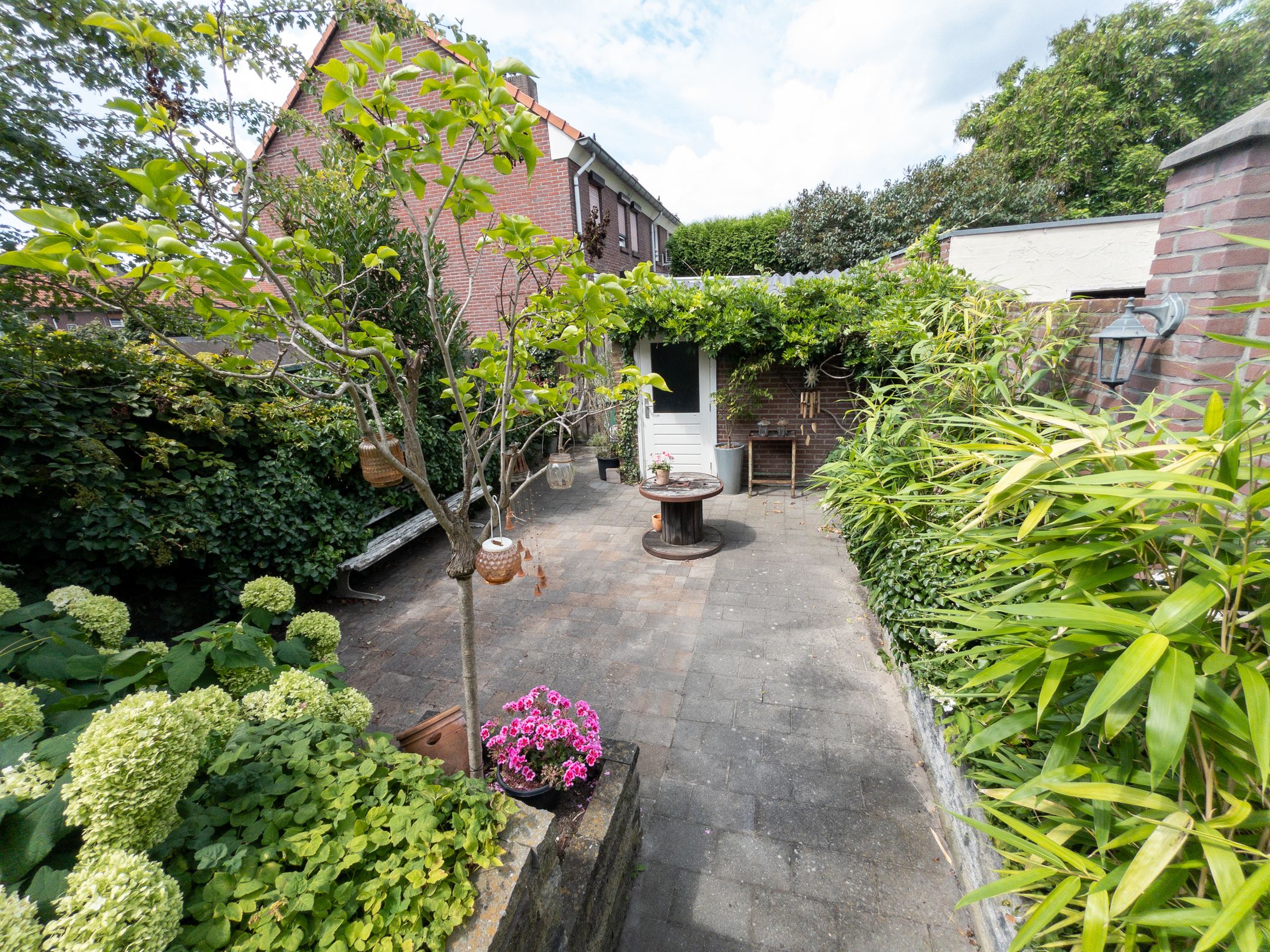 Foto 24 van Papegaaistraat 43