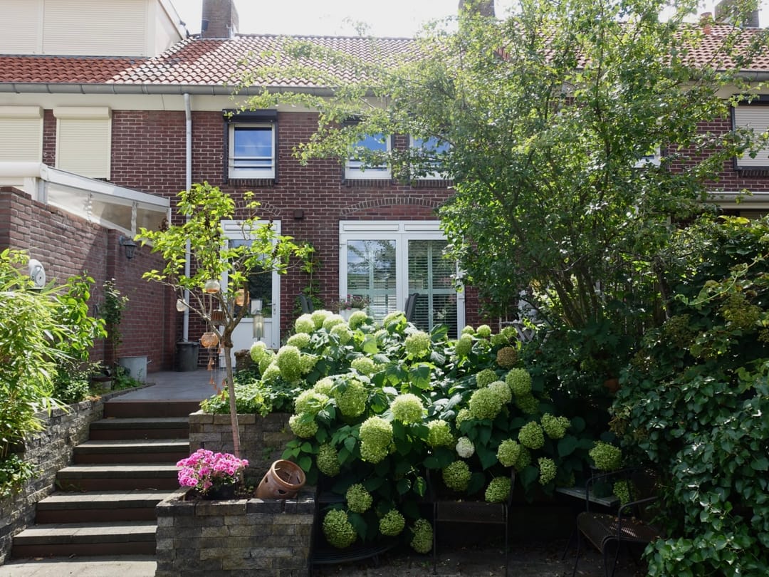 Foto 26 van Papegaaistraat 43