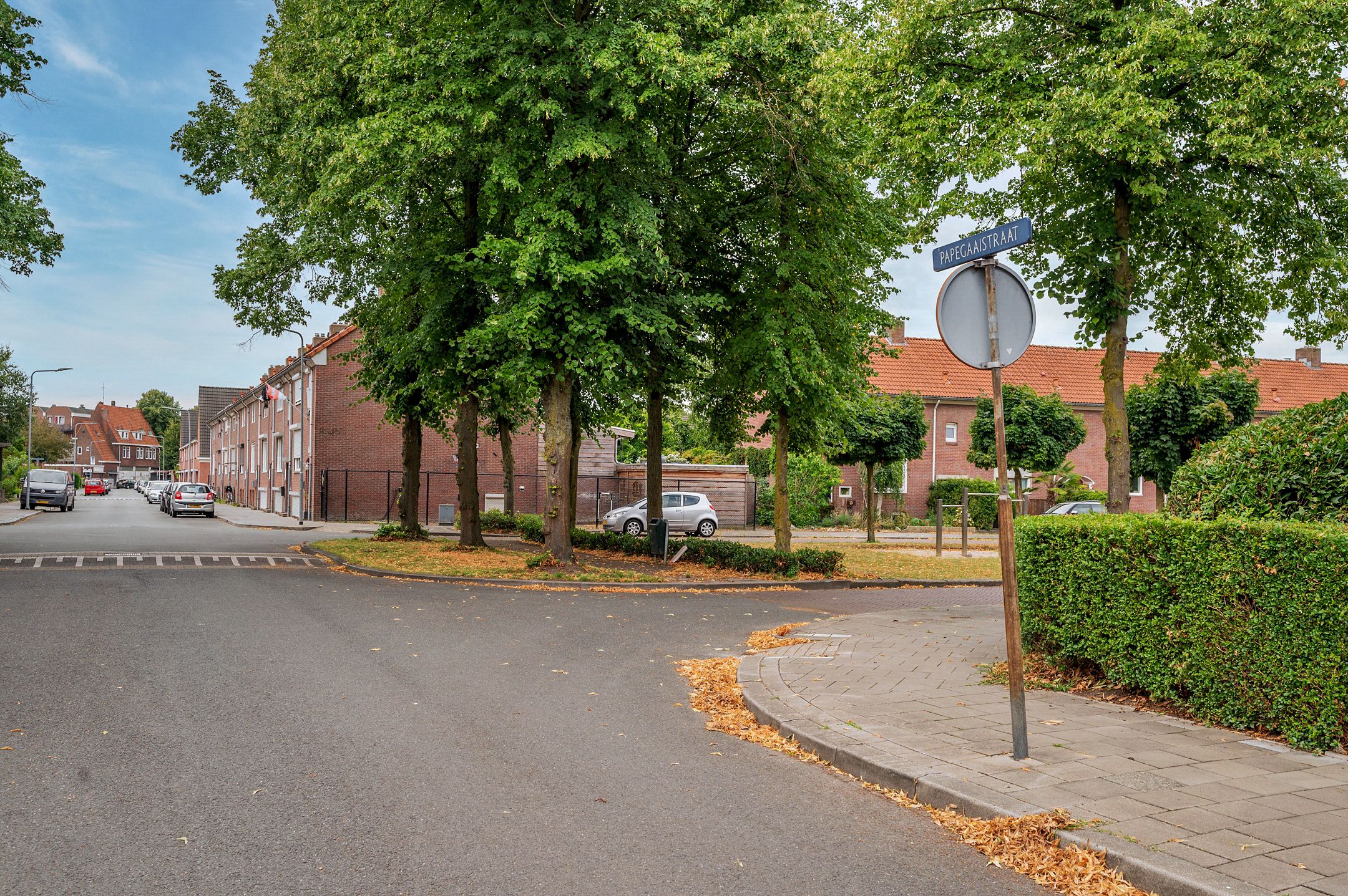 Foto 27 van Papegaaistraat 43