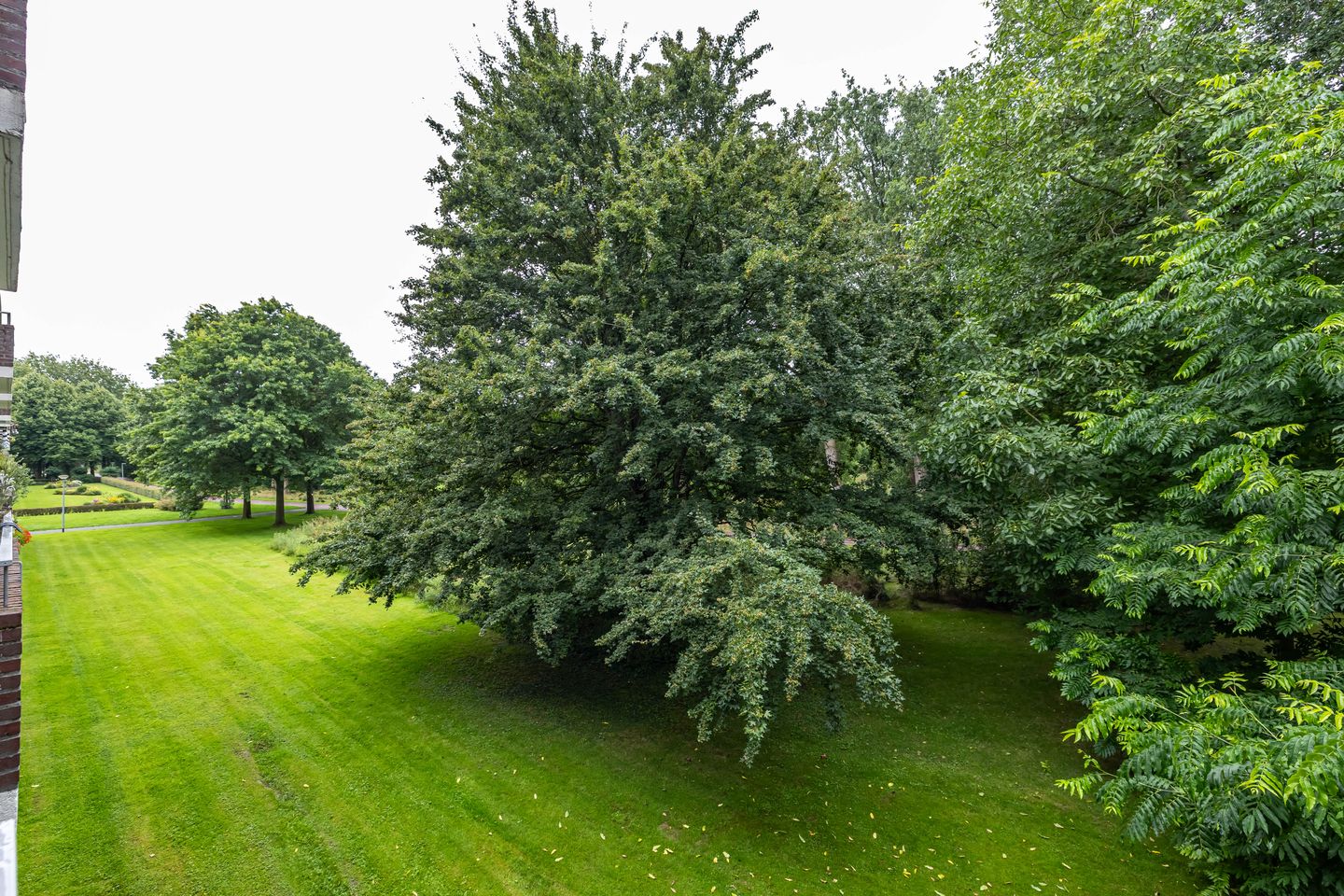 Foto 19 van Spirealaan 104