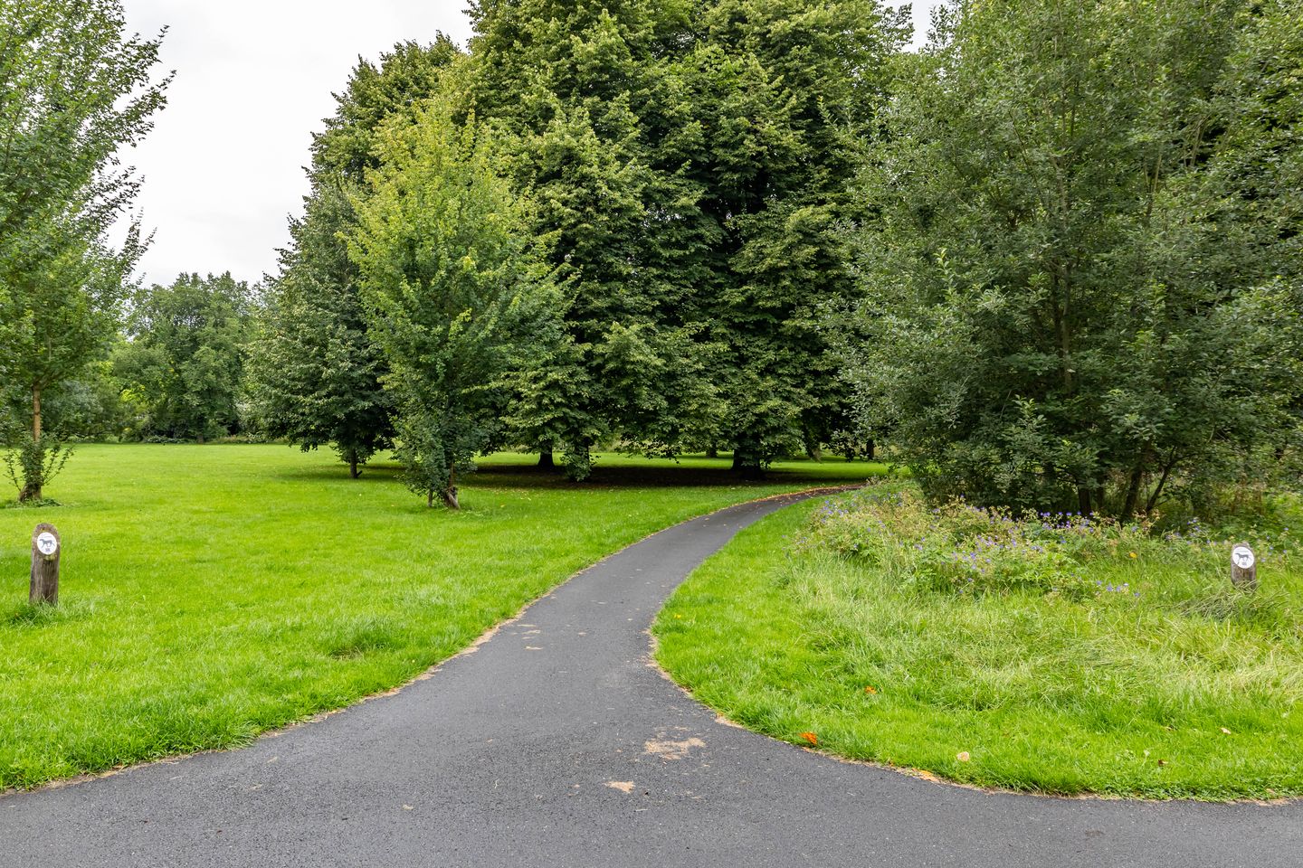 Foto 29 van Spirealaan 104