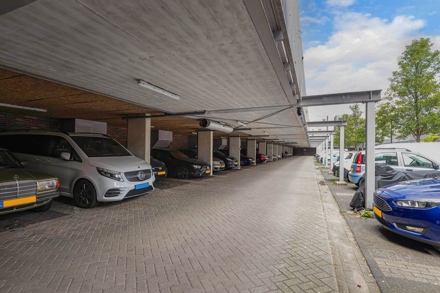 Foto 5 van La Palma 19