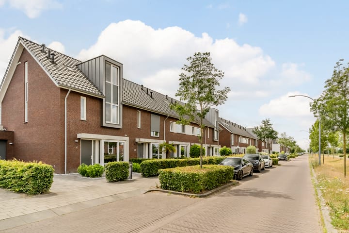 Foto 47 van IJzertijd 41