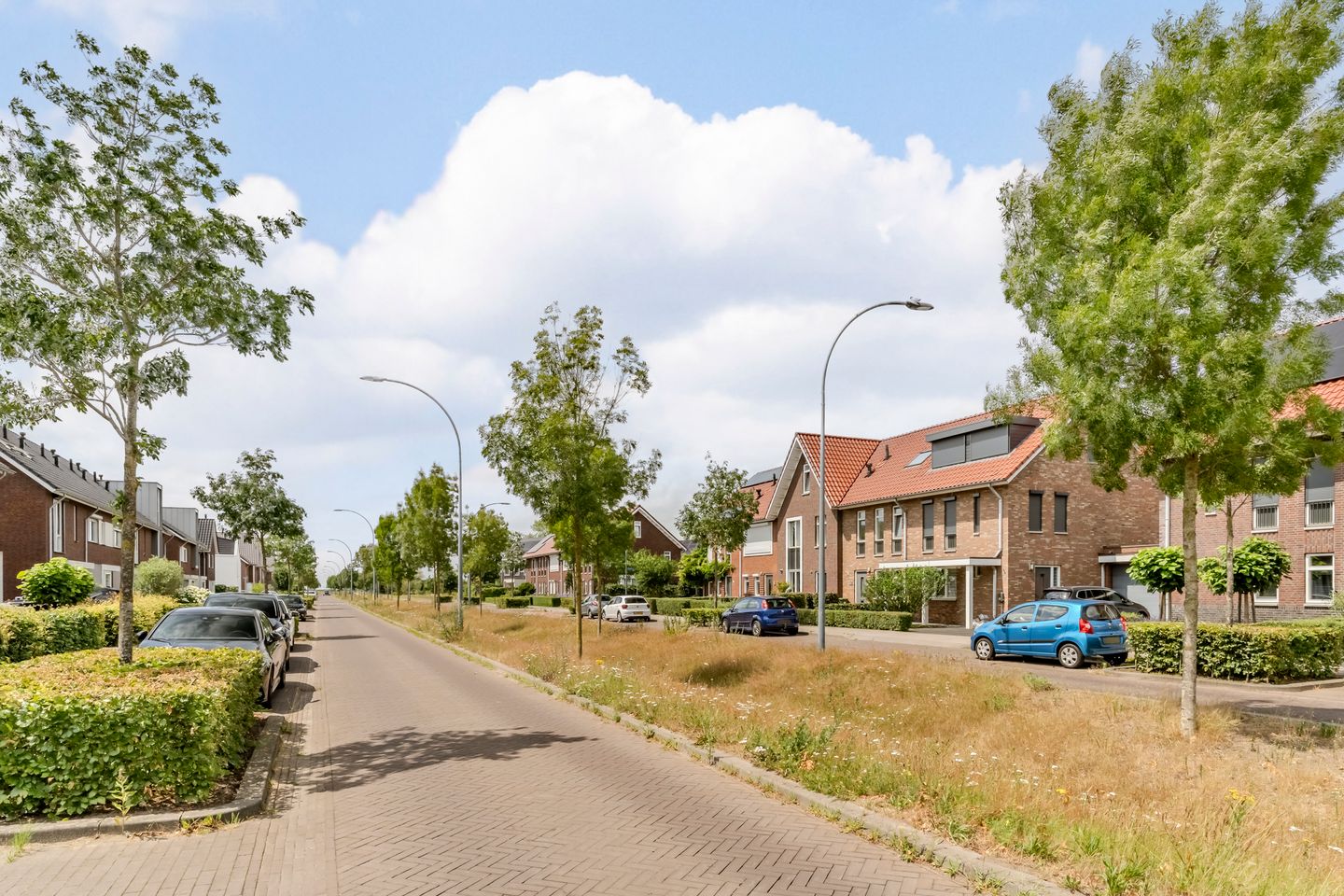 Foto 49 van IJzertijd 41