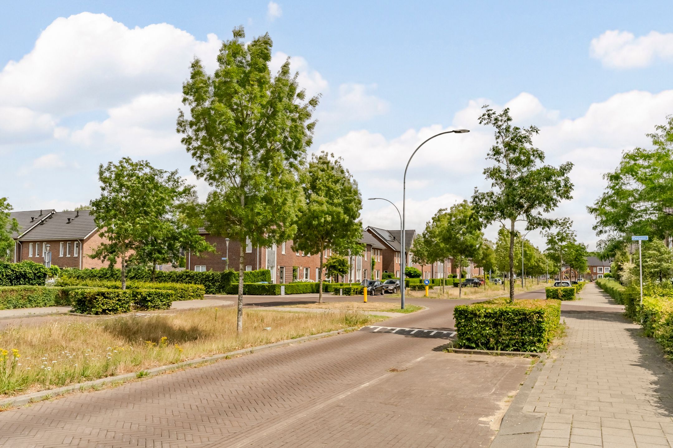 Foto 51 van IJzertijd 41