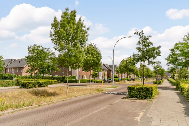 Foto 51 van IJzertijd 41