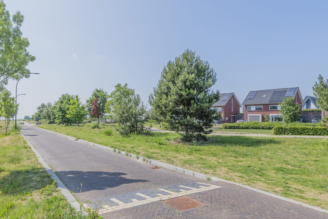 Foto 52 van IJzertijd 41