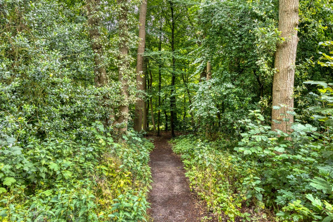 Foto 26 van Smutslaan 29-B