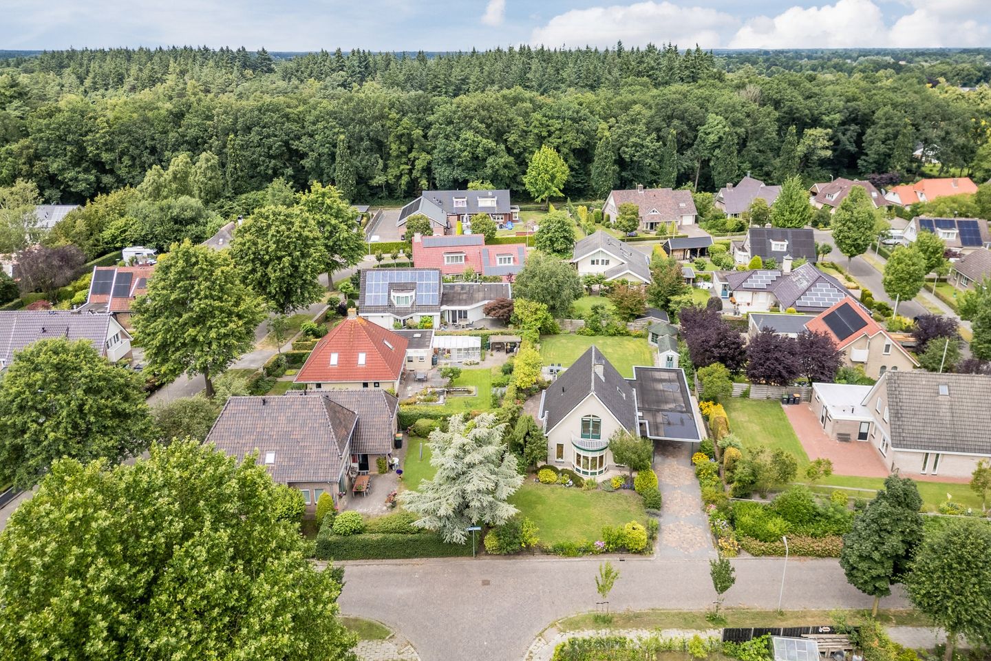 Foto 44 van Boshoek 47