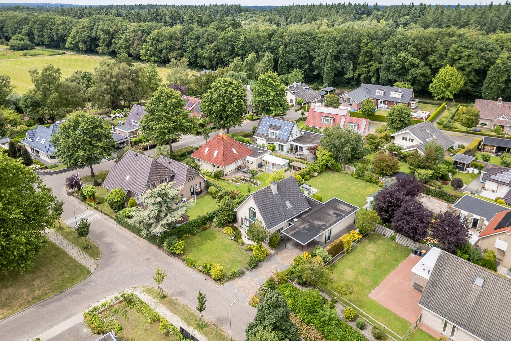 Foto 45 van Boshoek 47