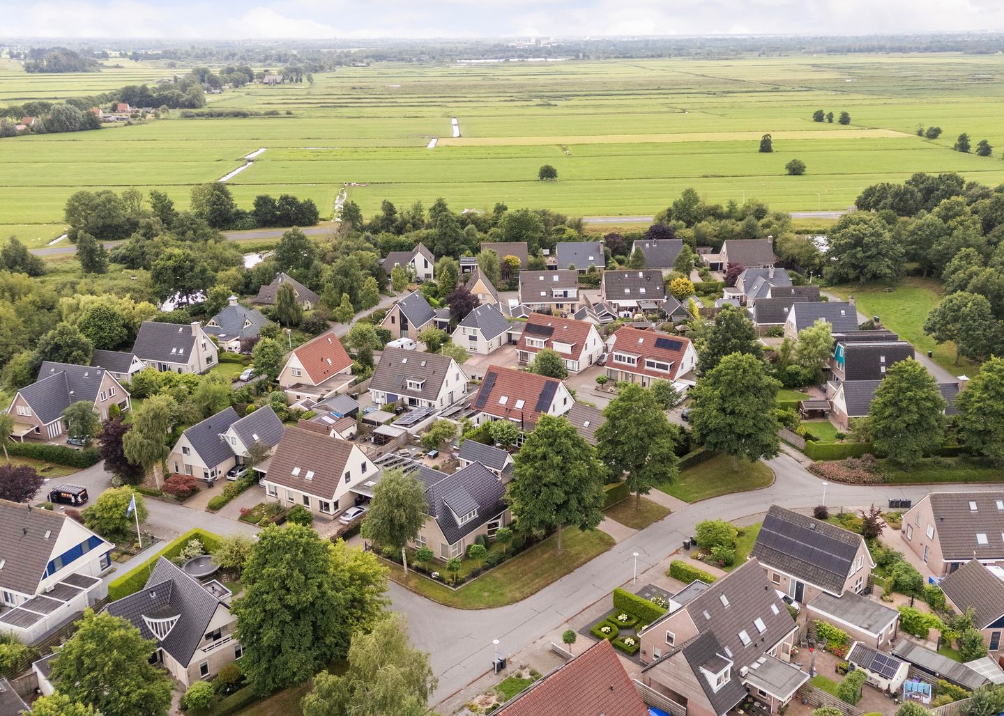 Photo 50 of Poelruit 2