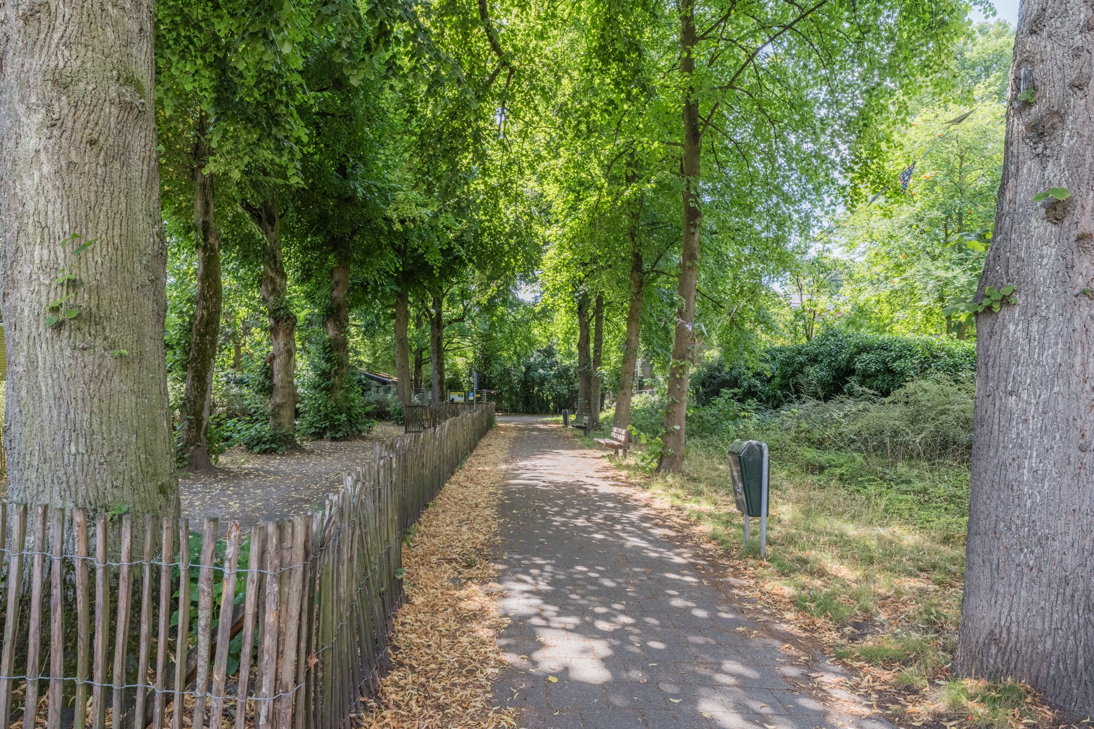 Foto 30 van Lange Nieuwstraat 230-B