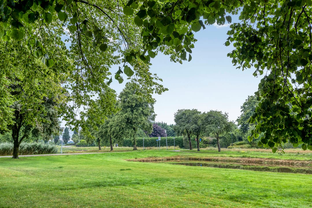 Photo 37 of Odewaldlaan 37