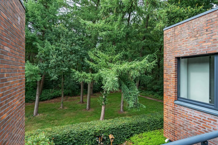 Foto 22 van Valtherlaan 263