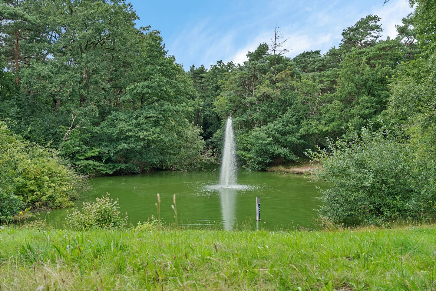 Foto 40 van Valtherlaan 263