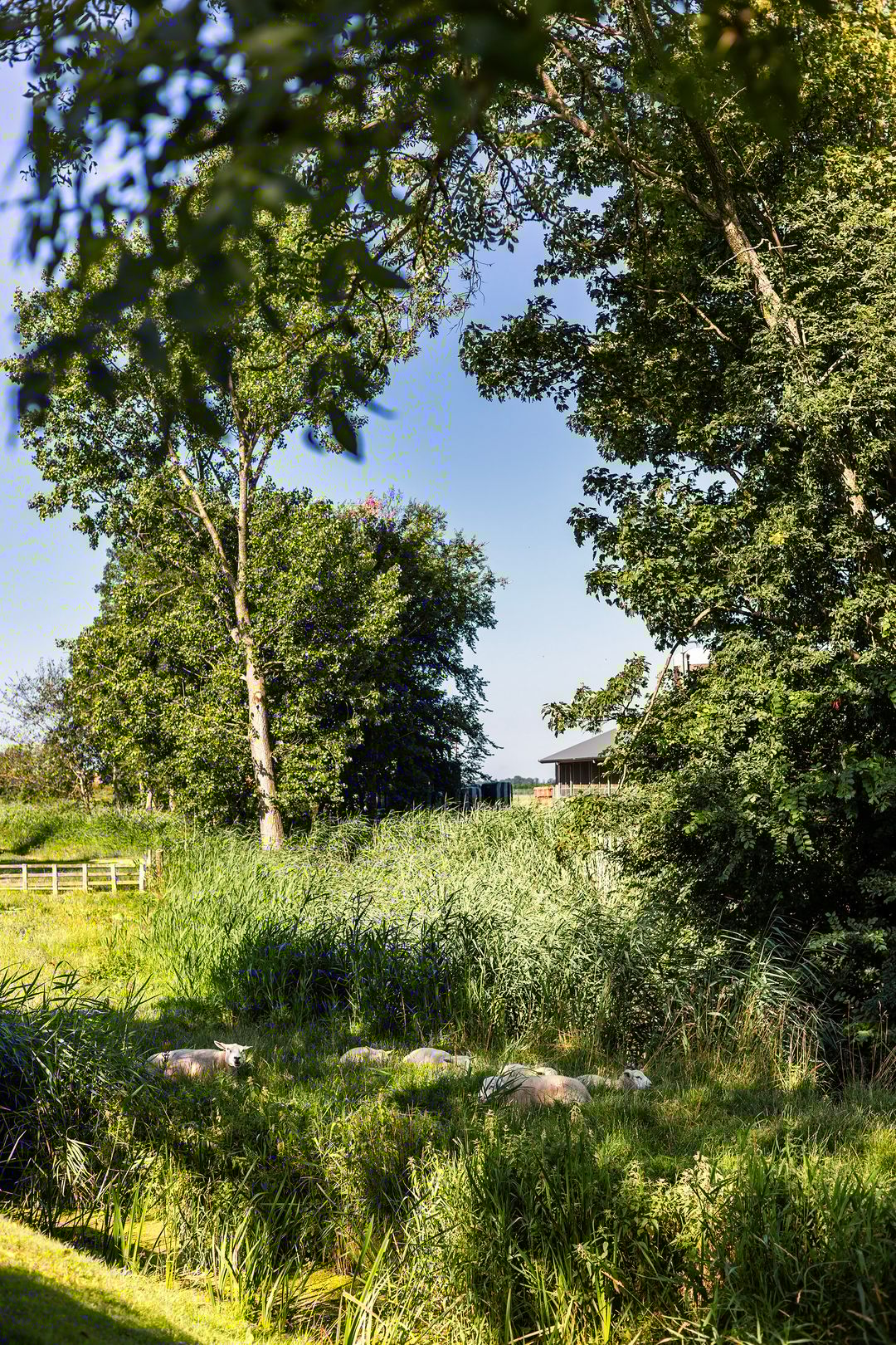 Foto 38 van Kamphússtrjitte 20