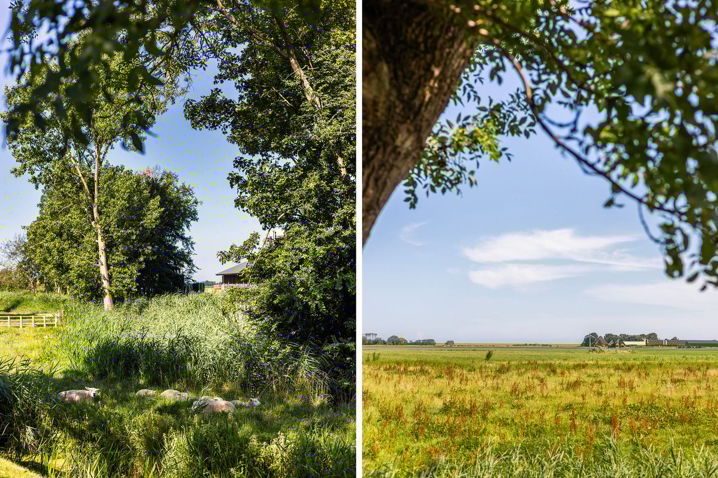 Foto 40 van Kamphússtrjitte 20