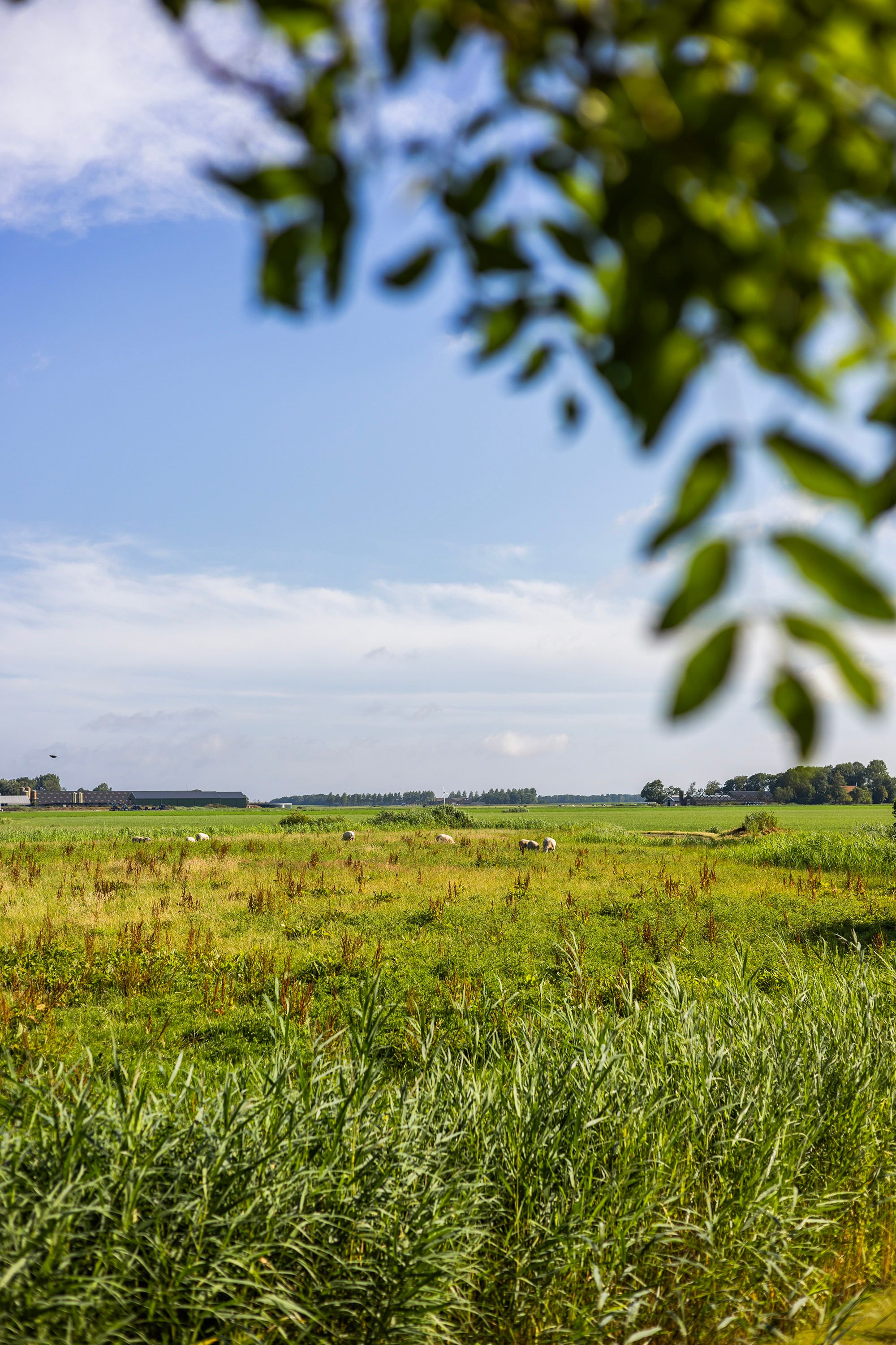 Foto 75 van Kamphússtrjitte 20