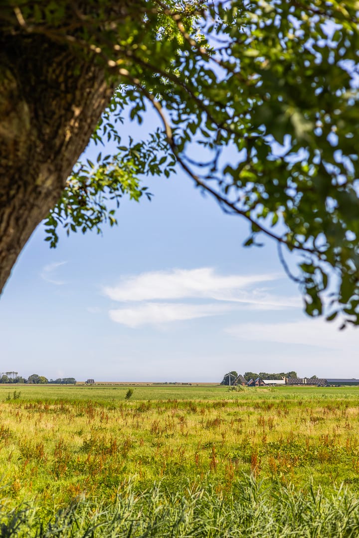 Foto 81 van Kamphússtrjitte 20