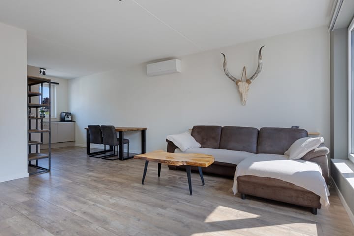 Photo 12 of Tarwe 13