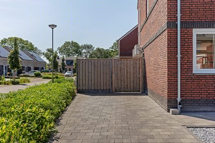 Photo 42 of Tarwe 13