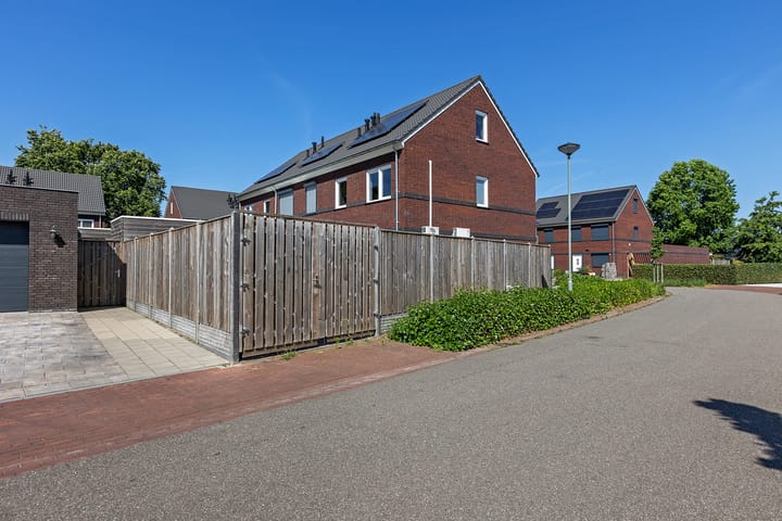 Photo 43 of Tarwe 13