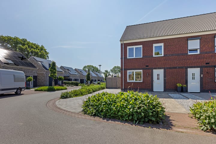 Photo 47 of Tarwe 13