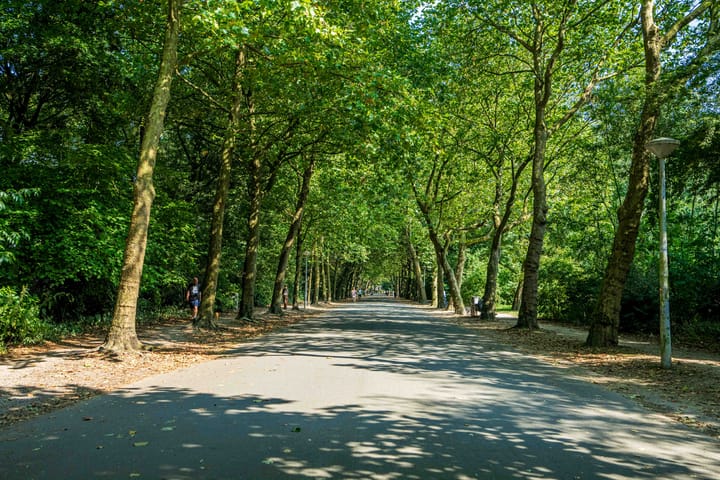 Foto 37 van Overtoom 278-C