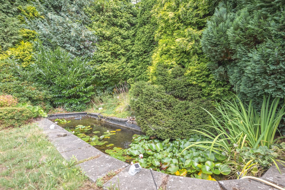 Foto 13 van Burgemeester Visschersstraat 3